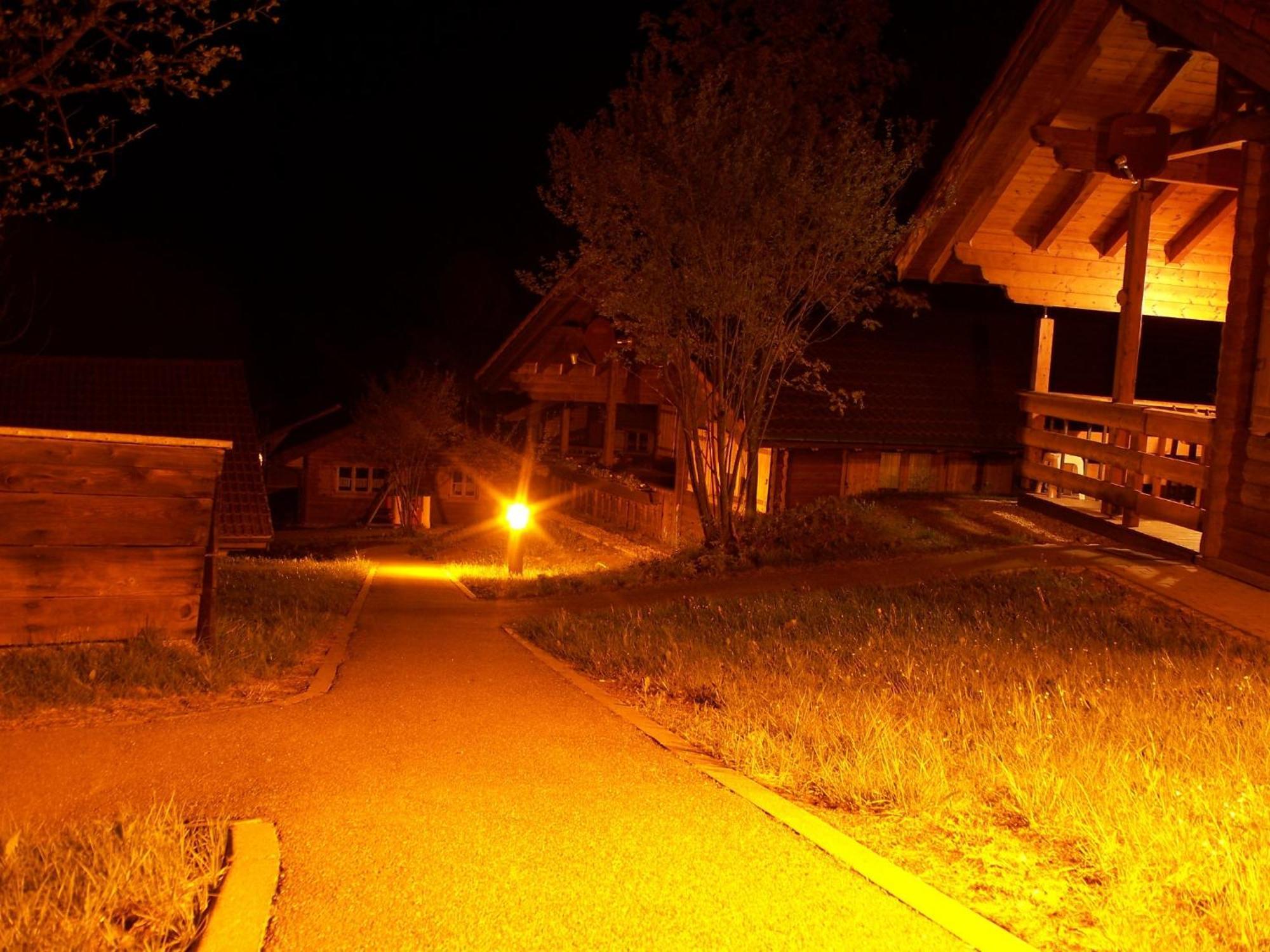 Stamsried Blockhaus Hedwigヴィラ エクステリア 写真