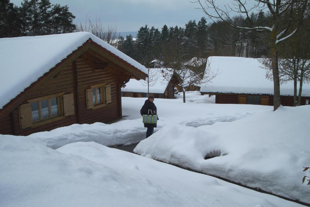 Stamsried Blockhaus Hedwigヴィラ エクステリア 写真